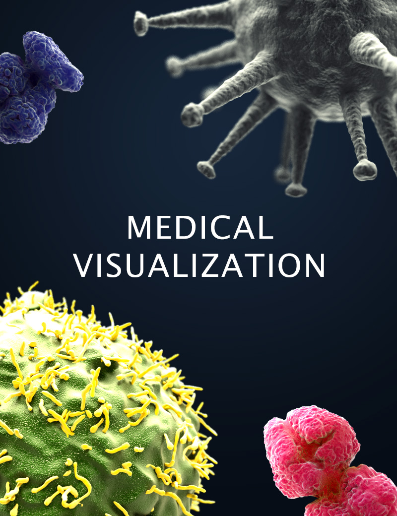 MEDICAL VISUALIZATION